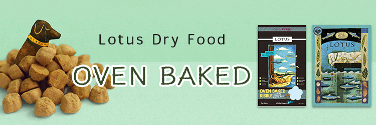 lotus dry food oven baked