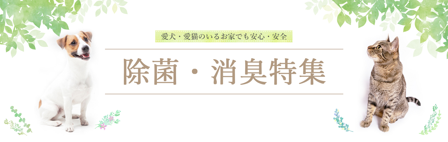 愛犬・愛猫のいるお家でも安心・安全な除菌・消臭剤特集