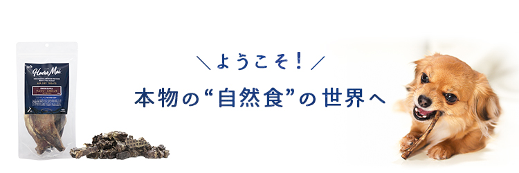 ハレマエ（Haere Mai）エアドライ トリーツのイメージ画像