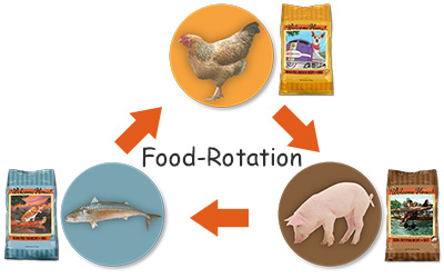 フードローテーション