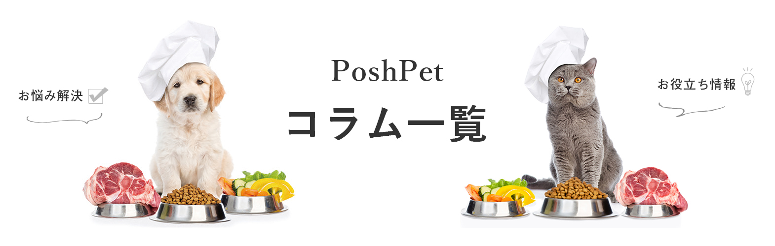 ポッシュペットのコラム一覧