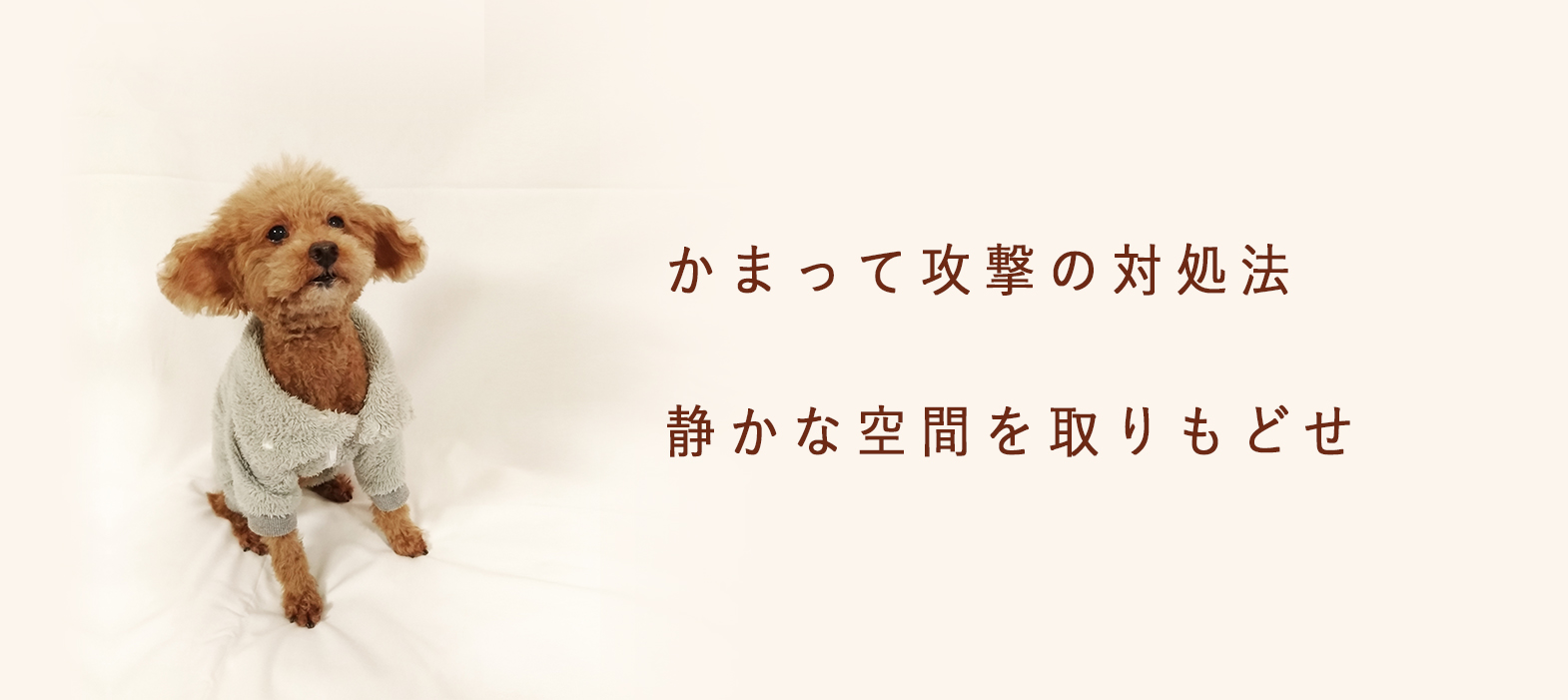 かまって攻撃の対処法！静かな空間を取りもどせ