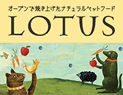 LOTUS（ロータス）