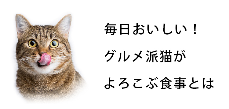 毎日おいしい！グルメ派猫がよろこぶ食事とは