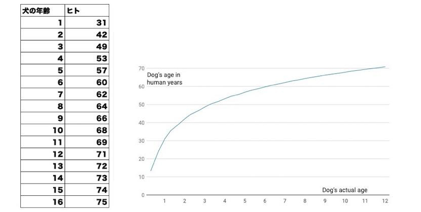 大型犬の実年齢早見表