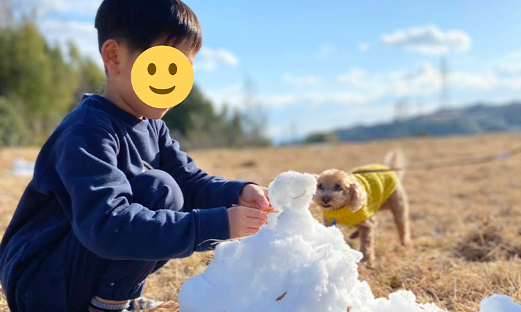 愛犬とお出かけ