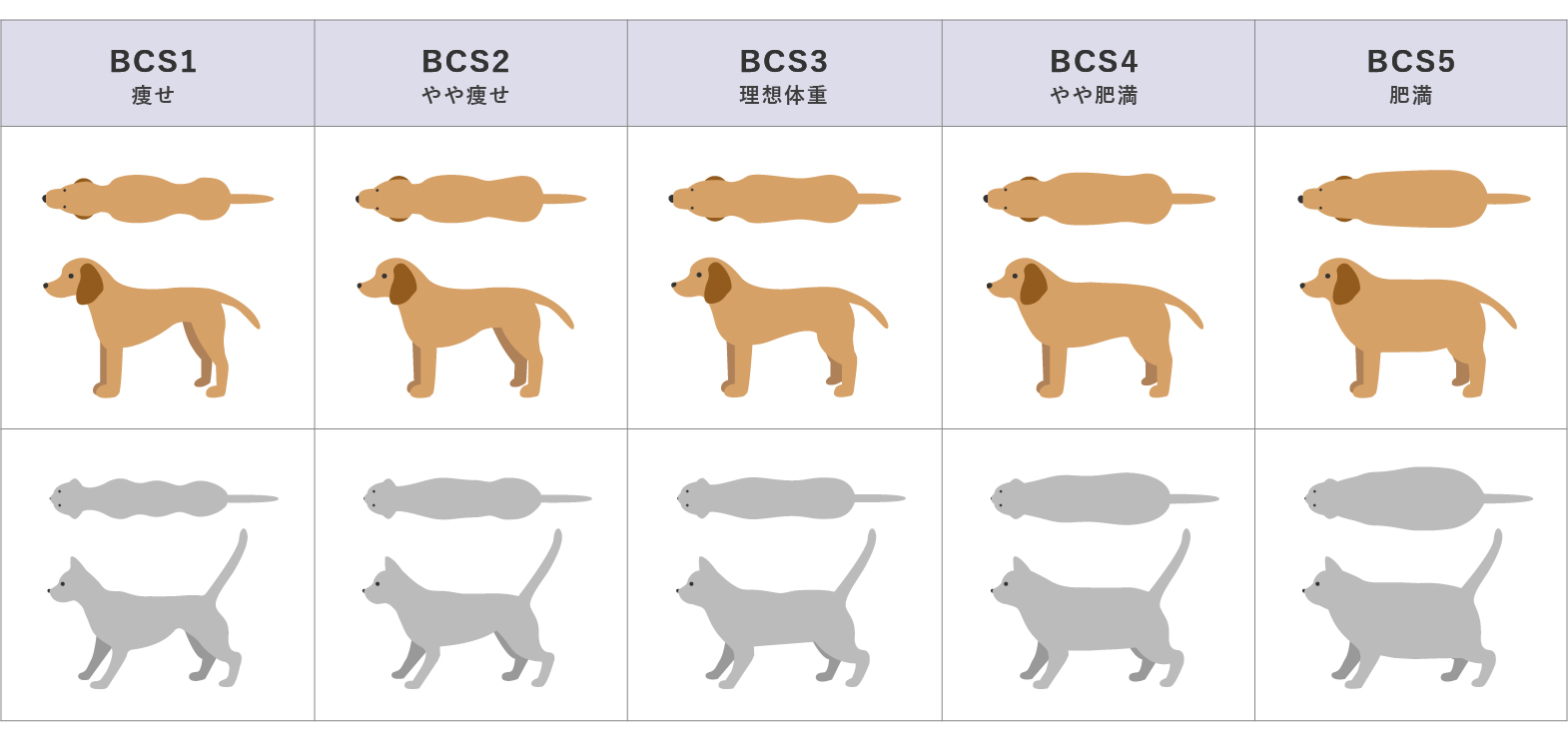 愛犬と愛猫のボディコンディデョンスコア（BCS）