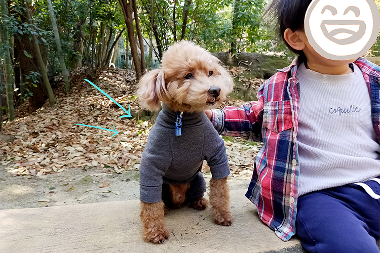 外にいる愛犬