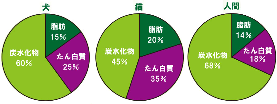 犬・猫・人間