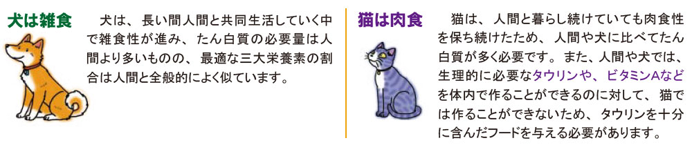 犬は雑食・猫は肉食