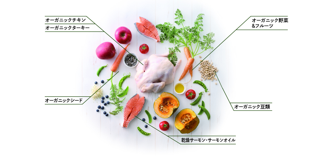 ソルビダが使用するオーガニック食材