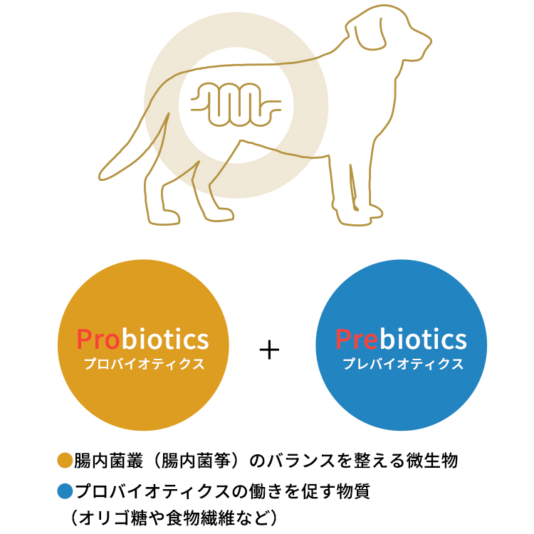 プロバイオティクスとプレバイオティクス