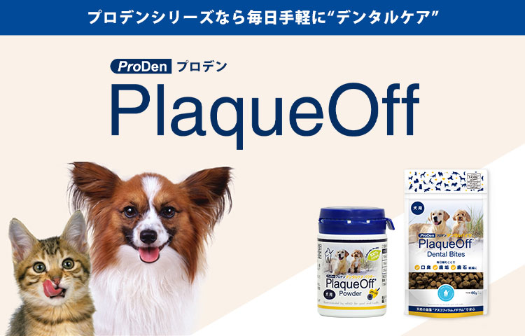 プロデン デンタルケア 犬猫用 40g 2021新入荷