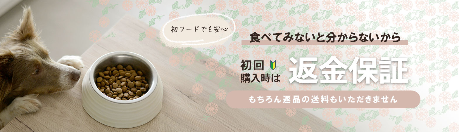 初回購入時はドッグフードの返金保証