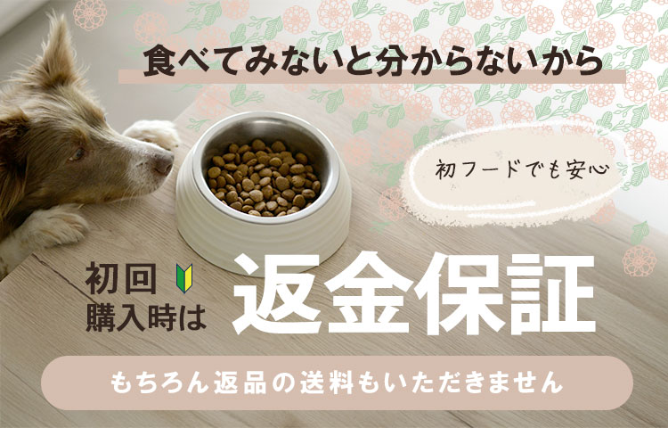 食べてみないと分からないから 初回購入時は返金保証いたします！もちろん返品の送料もいただきません
