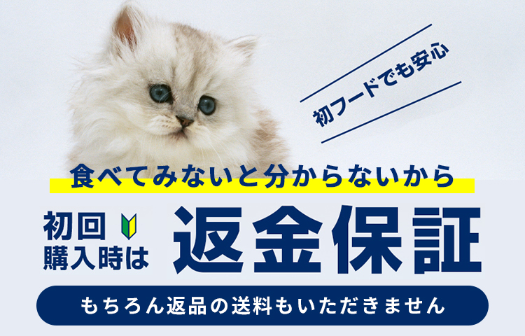 食べてみないと分からないから 初回購入時は返金保証いたします！もちろん返品の送料もいただきません