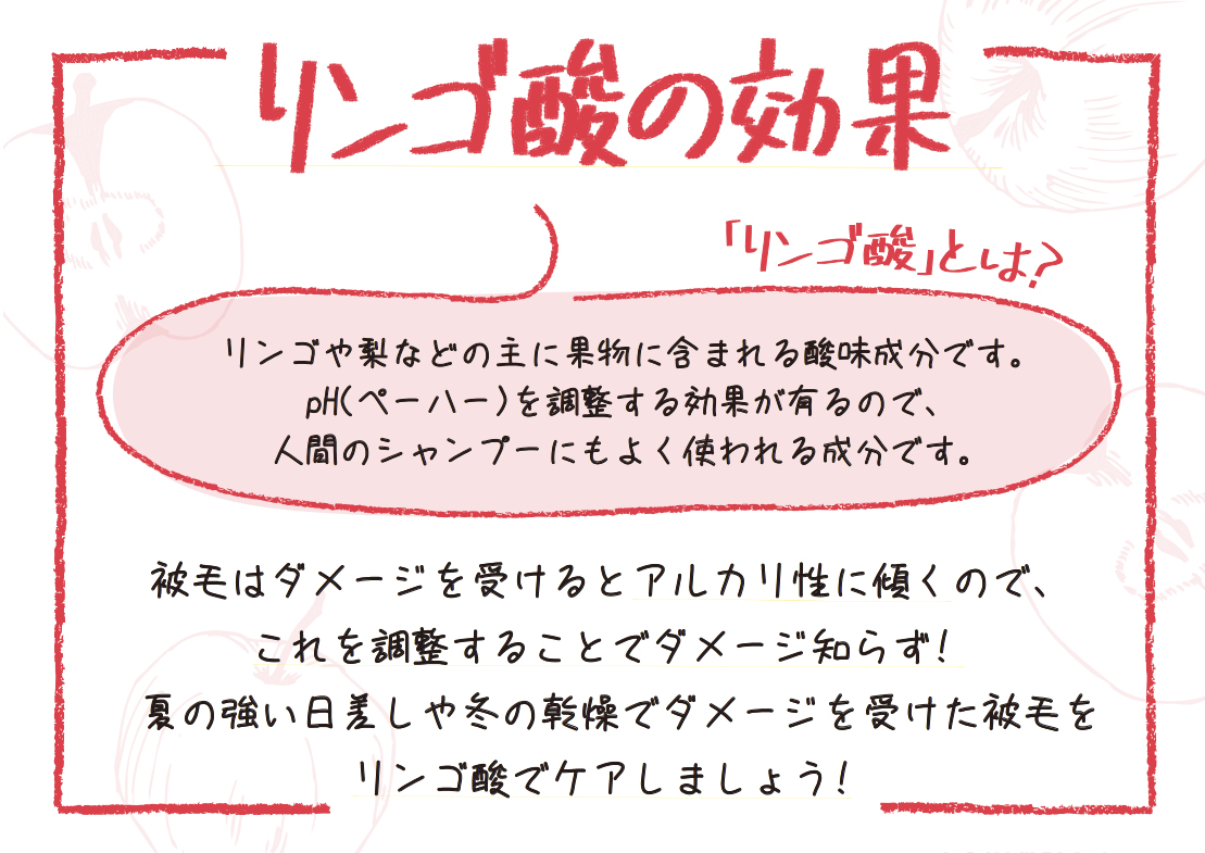 アップルケア