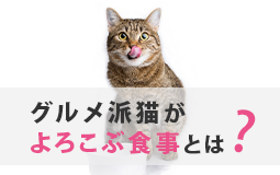 毎日おいしい！グルメ派猫がよろこぶ食事とは