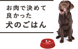 お肉で決めて良かった犬のごはん