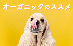 愛犬との生活に「オーガニック」のススメ