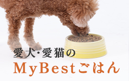 スタッフおすすめ！MyBestごはん